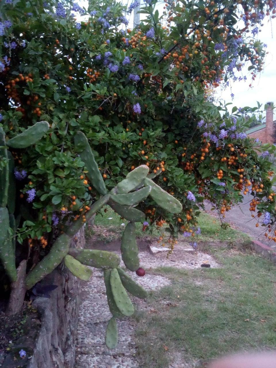 Jardines De Don Bosco Apartment Salto Luaran gambar